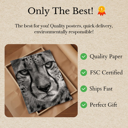 Intense Cheetah Gaze Black and White Poster