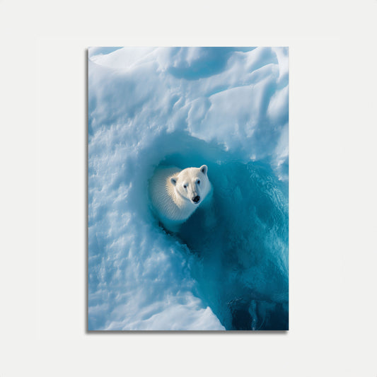 Póster del oso polar del Santuario Ártico