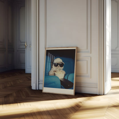 Cool Cat Cinema Experience Poster