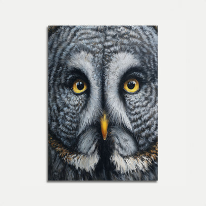 Póster de Retrato de Búho Gris Intenso