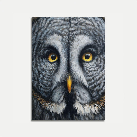 Affiche Portrait de Chouette Grise Intense