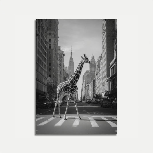 Giraffe Crossing New York City Poster