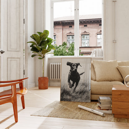 Dynamic Black Dog Running Poster