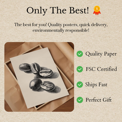 Vintage Coffee Beans Poster