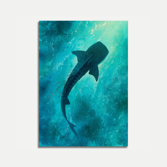 Whale Shark in Turquoise Waters Poster