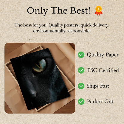 Mysterious Black Cat Eye Poster