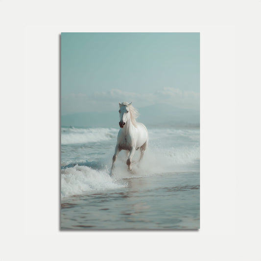 Bílý Mořský Koňský Plakát