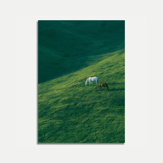 Horses Grazing on Mountain Slope Poster