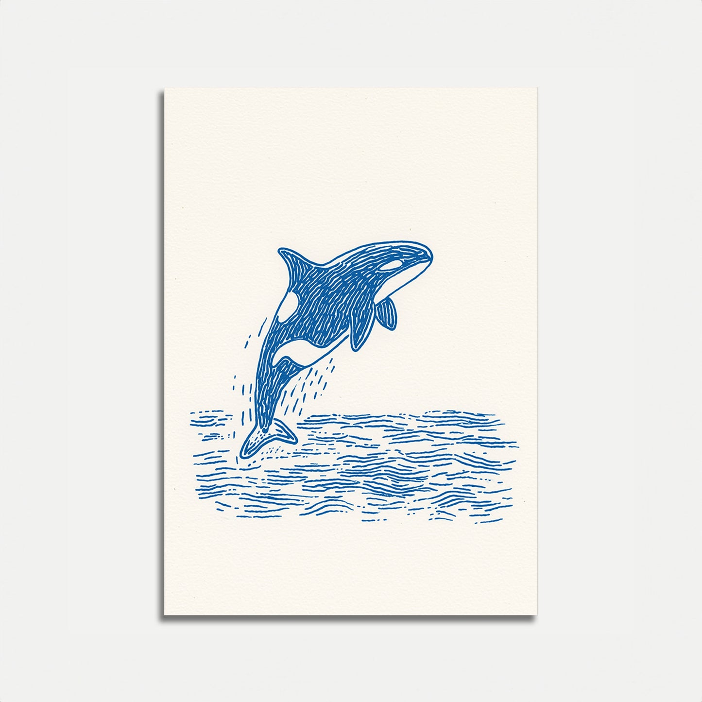 Leaping Orca Ocean Poster
