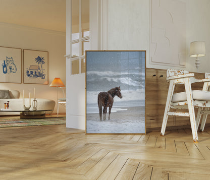 Osamělý kůň ve sněhové bouři - plakát