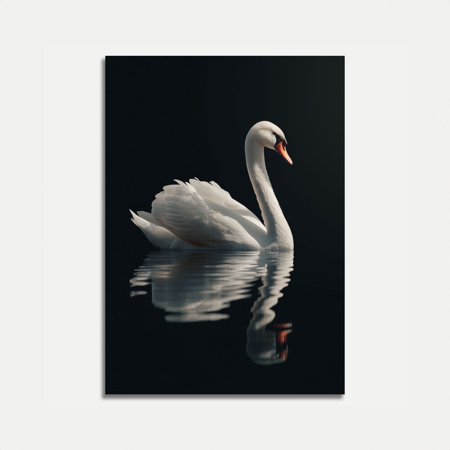 Elegant Svane Vandrefleksion Plakat