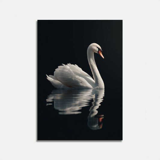 Affiche élégante représentant un cygne se reflétant dans l'eau