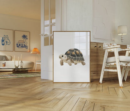 Adorable Tortoise Illustrated Poster