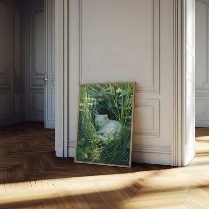 White Cat by the Pond Poster