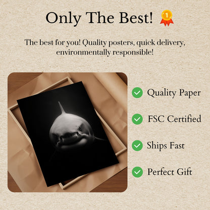 Dark Waters Great White Poster