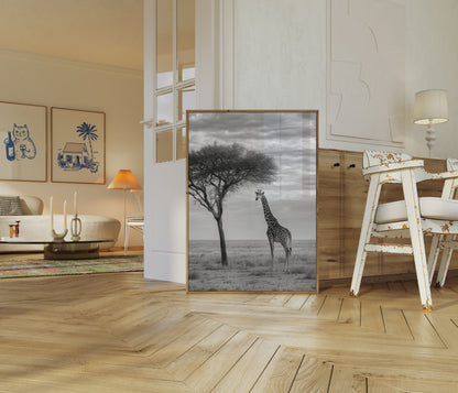 Póster de paisaje africano con jirafa solitaria