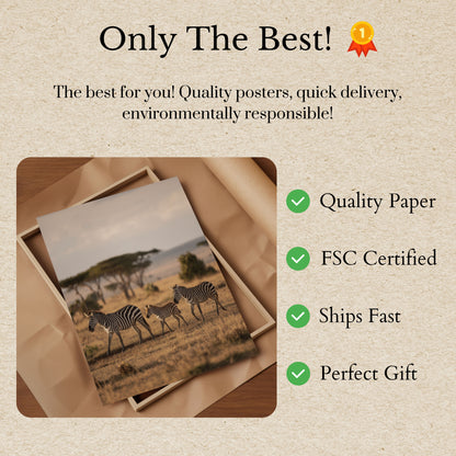 African Zebra Family Wilderness Poster