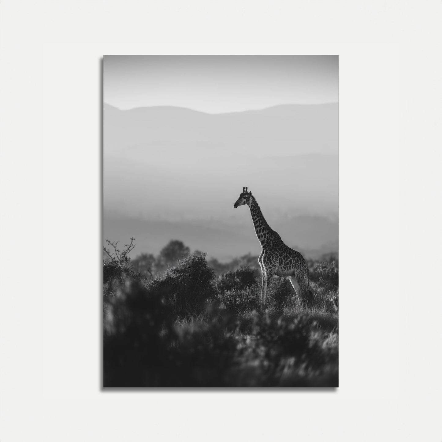 Majestic Giraffe Wilderness Poster