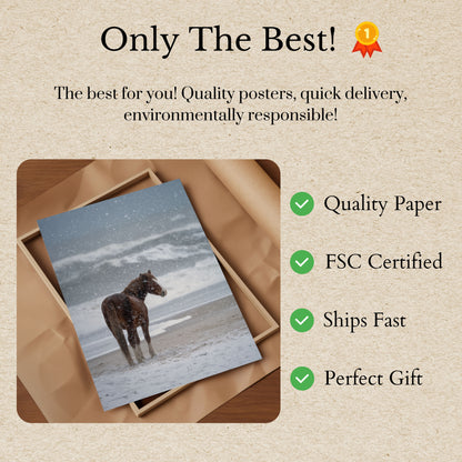 Osamělý kůň ve sněhové bouři - plakát