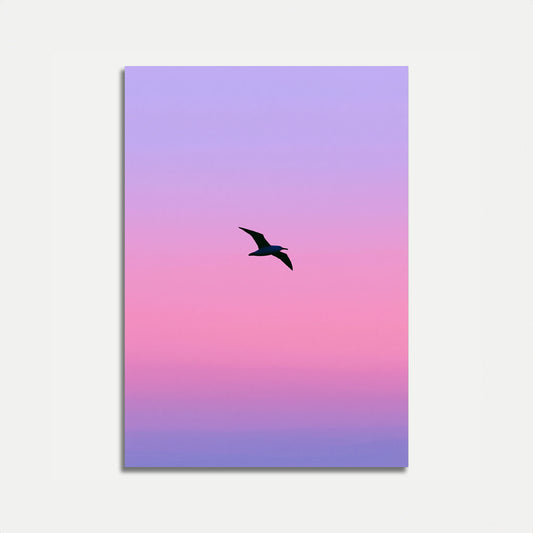 FLYVENDE HAVFUGLE - Minimalistisk Plakat