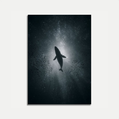 Celestial Whale Underwater Poster