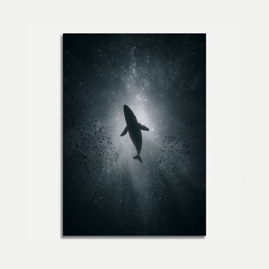 Celestial Whale Underwater Poster