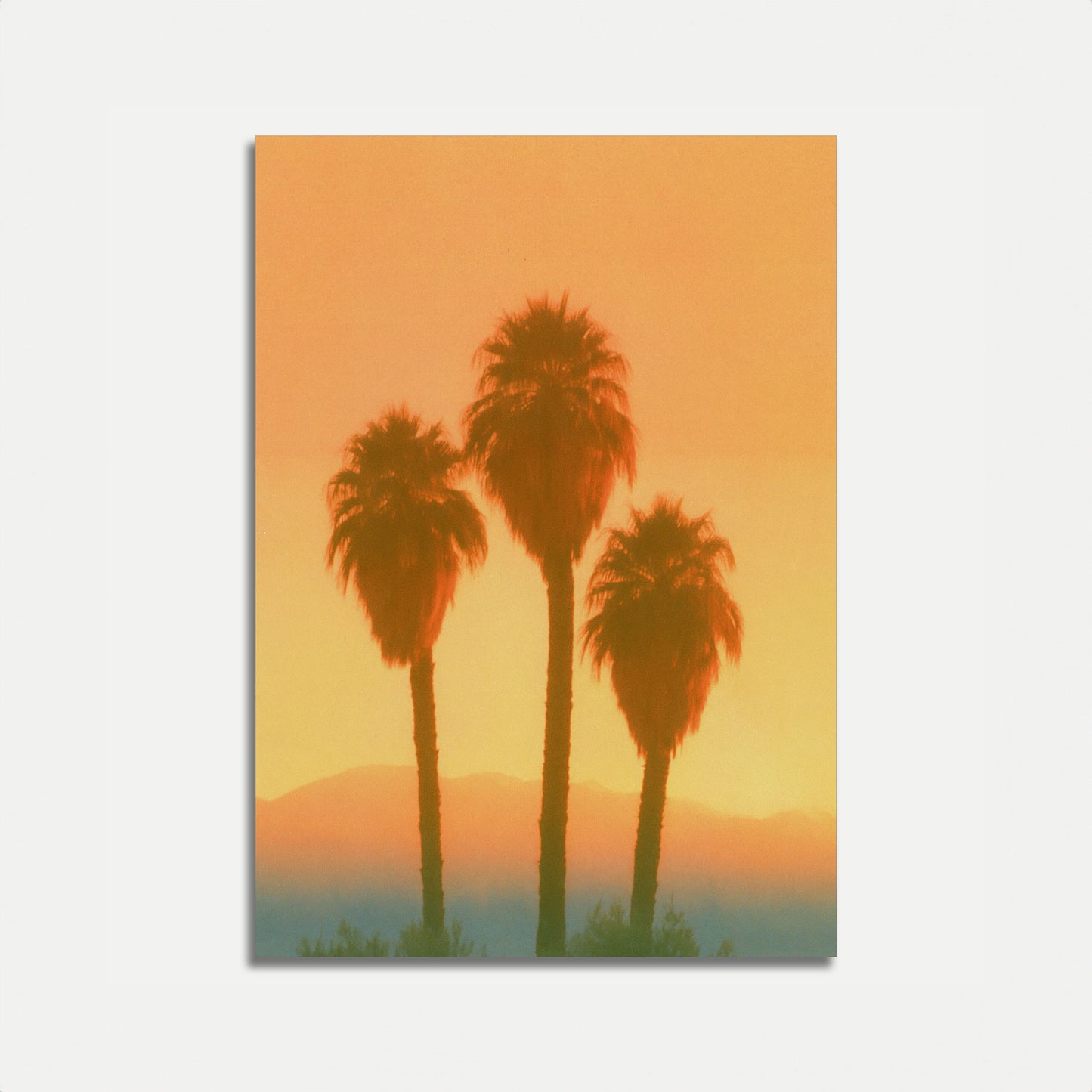 Poster di Palme nel Deserto al Tramonto