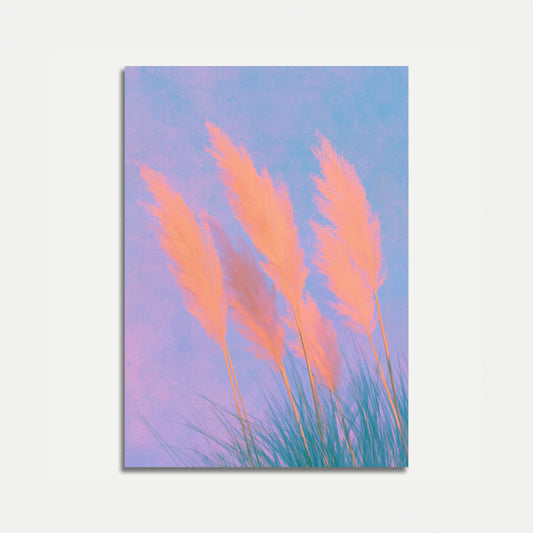 Pampas Grass at Sunset Poster