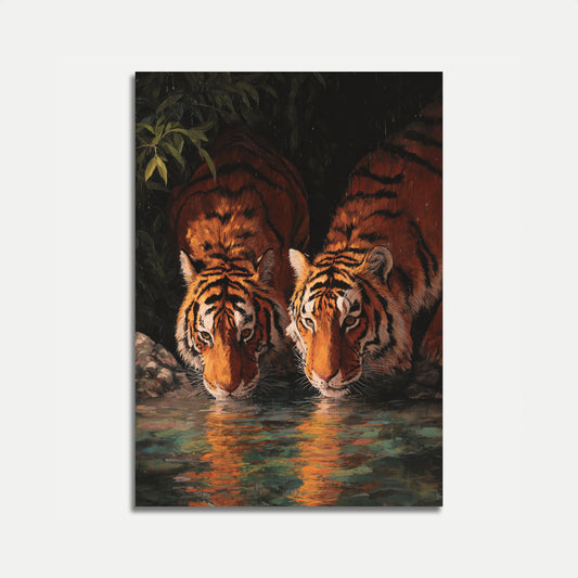 Tigers Drinking at Waterhole Poster