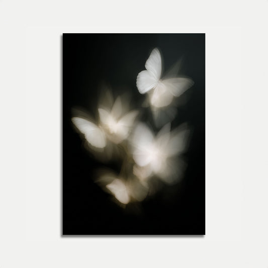 Ätherische weiße Schmetterlinge Poster