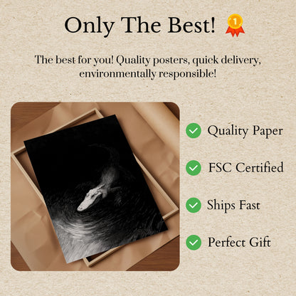 Póster de caimán de aguas oscuras