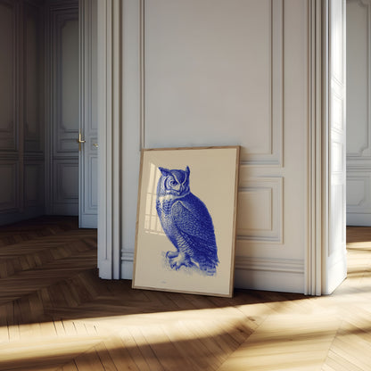 Blue Owl Illustration Poster