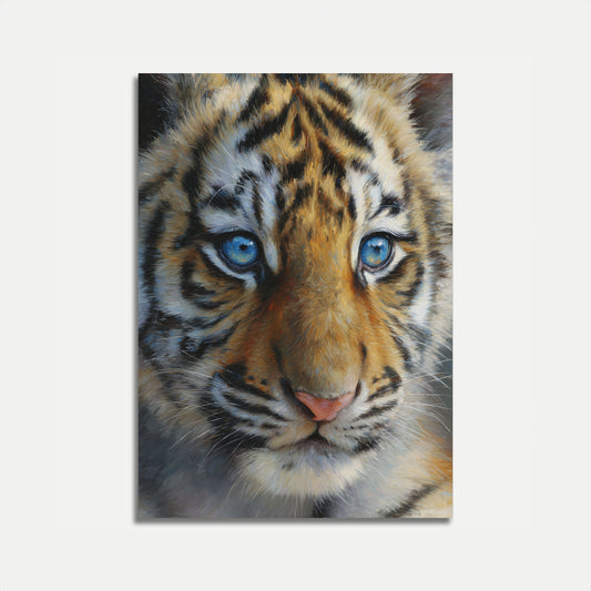 Tiger with Blue Eyes Poster