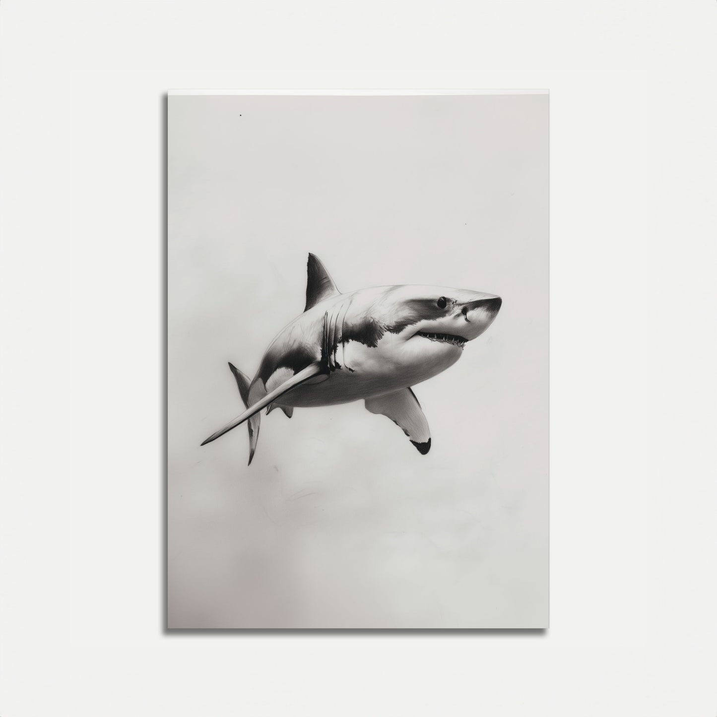 Great White Shark Sketch Poster