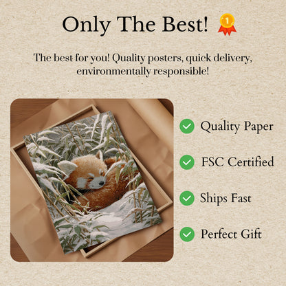 Red Panda in Winter Snow Poster