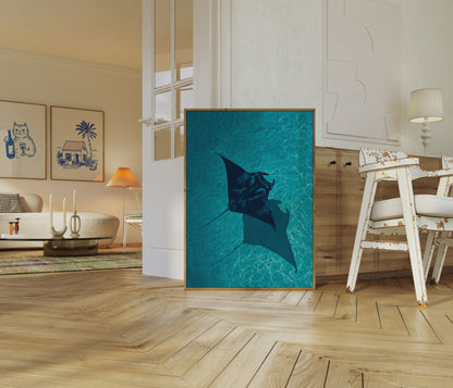 Manta Ray in Turquoise Ocean Poster