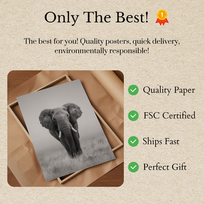 Majestic African Elephant Poster