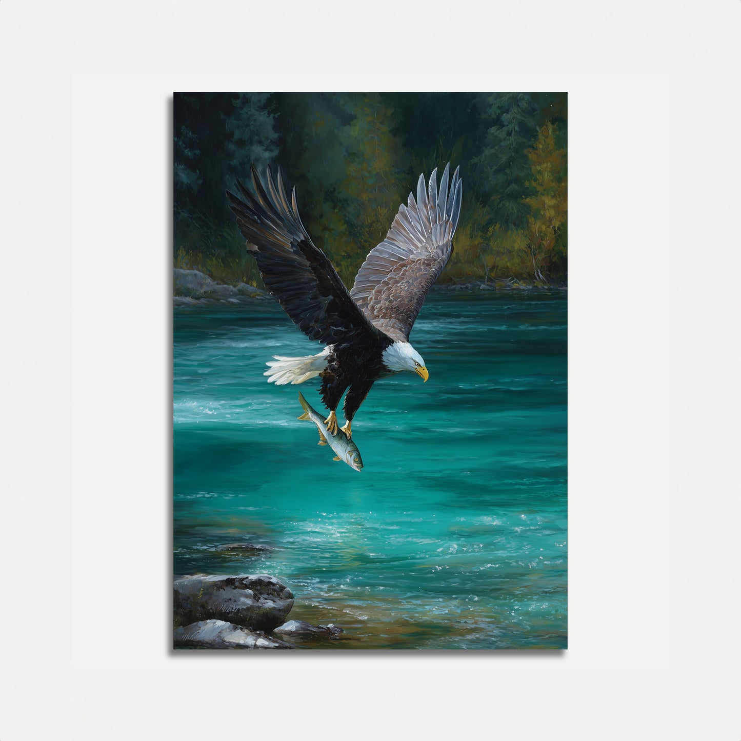 Bald Eagle Catching Fish Poster