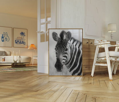 Zebra Portrait Black and White Poster
