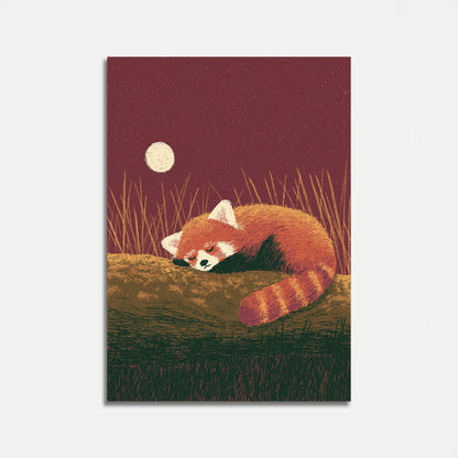 Plakat: Śpiąca panda czerwona w świetle księżyca