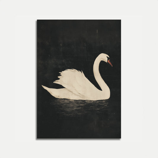 Póster elegante de cisne blanco