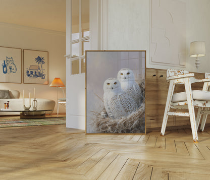 Snöuggleparet Vinteraffisch