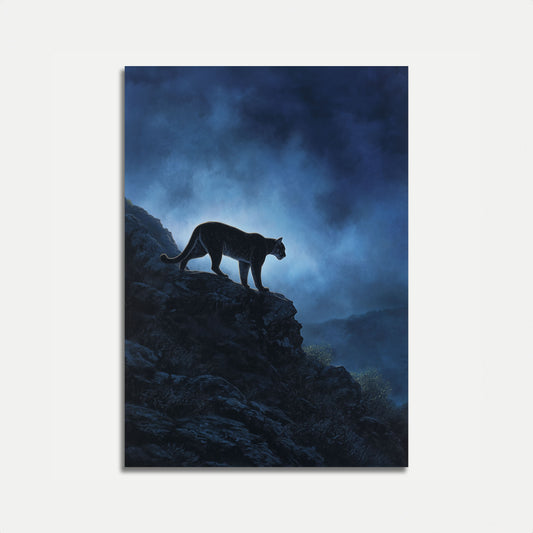 Panther på Fjelltopp Plakat