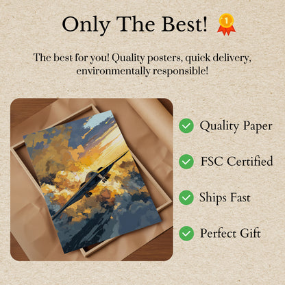 Aerial Fury Sunset Poster