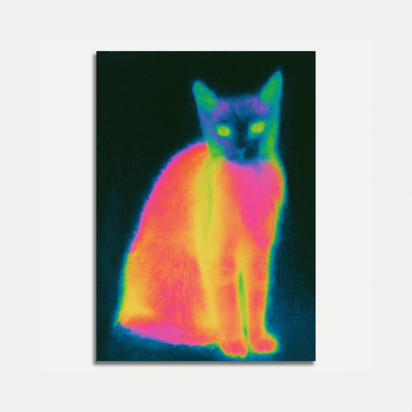 Poster Termico Gatto Neon