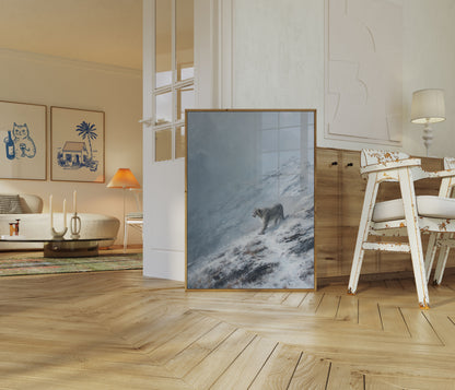 Snøleopard Fjell Plakat