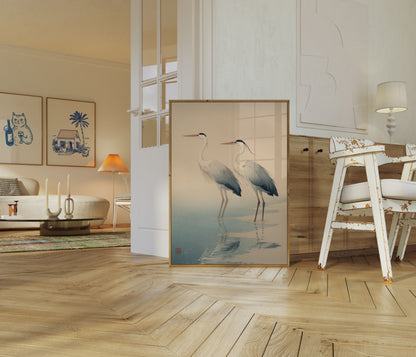 Graceful Herons in Water Poster