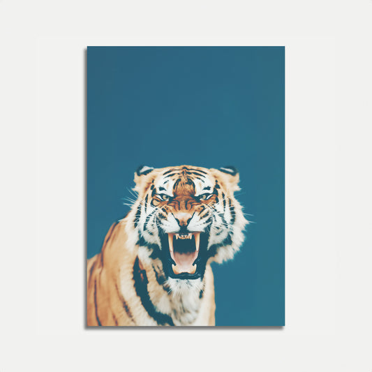 Fierce Tiger Roar Poster