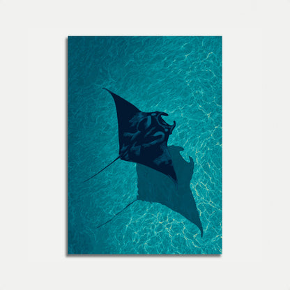 Manta Ray in Turquoise Ocean Poster