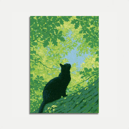 Poster Gato Preto Olhando Para Cima